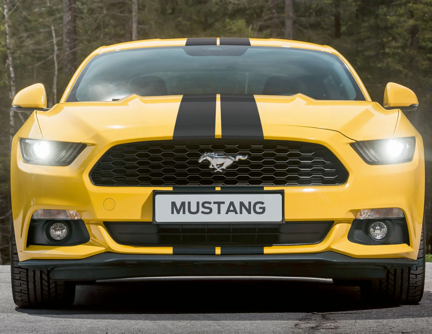 Bandes décoratives autocollantes noires Herpa print Ford Mustang 03/2018-03/2023 - Image 4